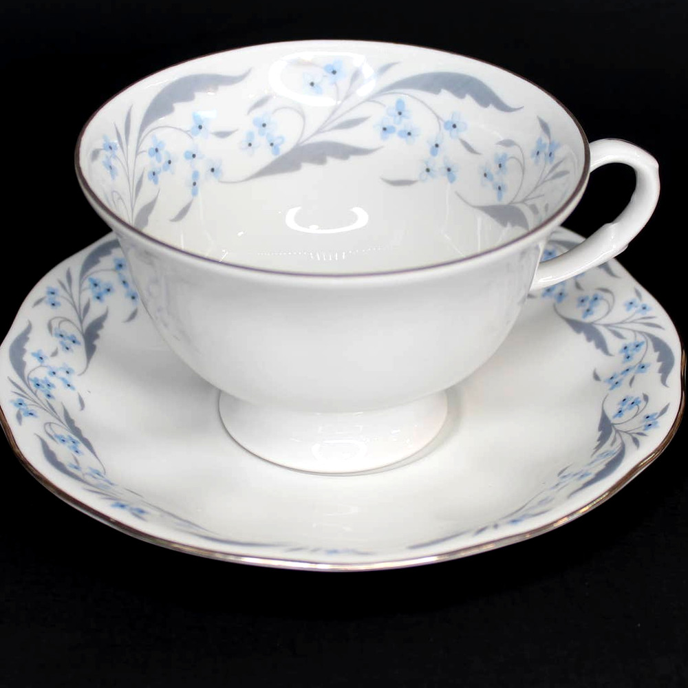 FAVOLINA KAROLINA Poland Footed Teacup Saucer Set Harmony Platinum Trim